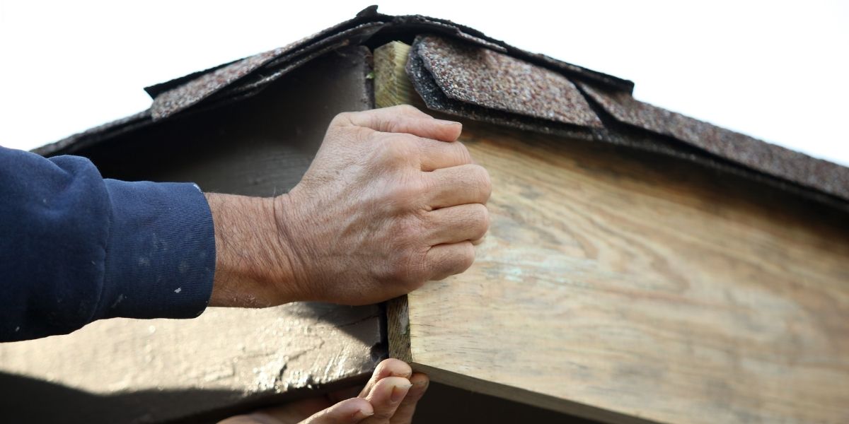 How can I tell if my roof in Alexandria needs repair or replacement?
