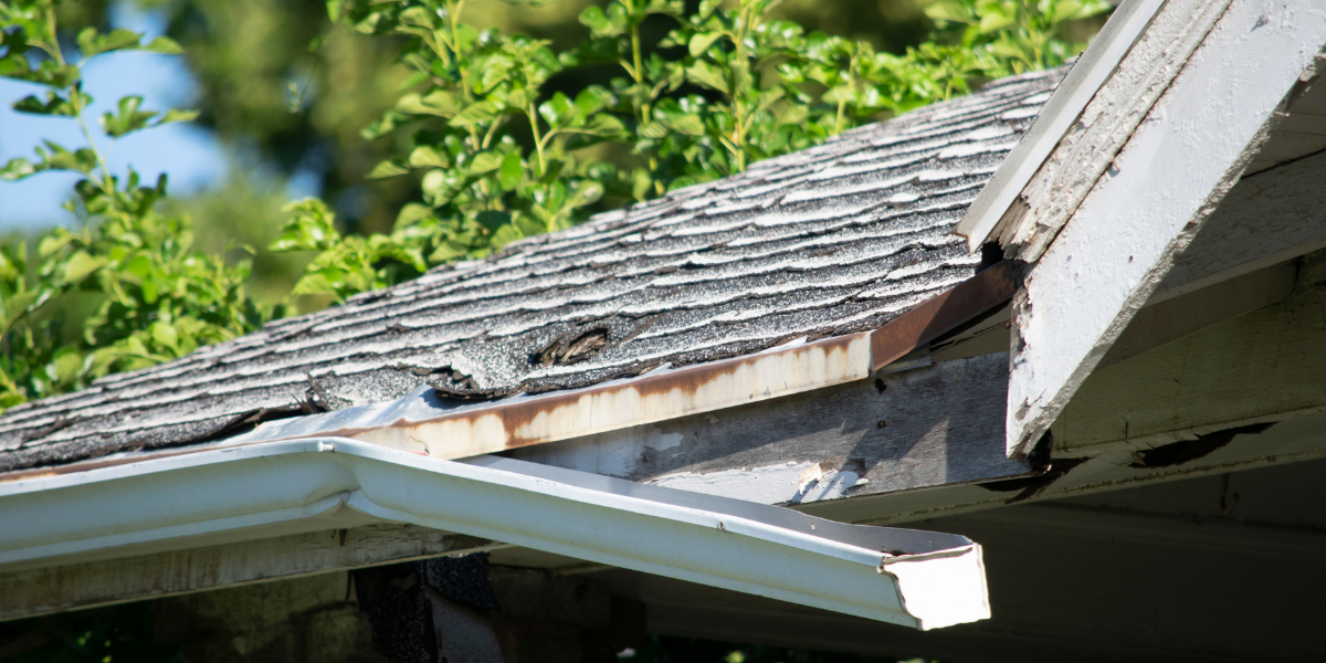 How Weather Impacts Your Roof in Petersburg?