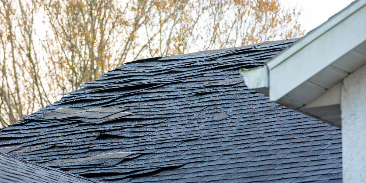 How Weather Impacts Your Roof in Manassas?
